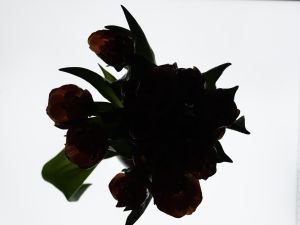 wkl 08 Belichtung von unten  Wilhelm Kleinoder